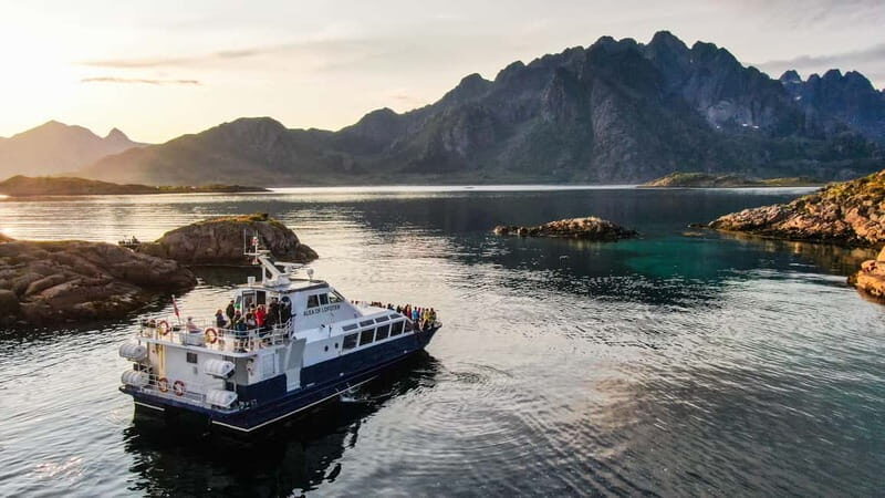 From Svolvær: Lofoten Trollfjord Cruise & Sea Eagle Safari - Final Thoughts