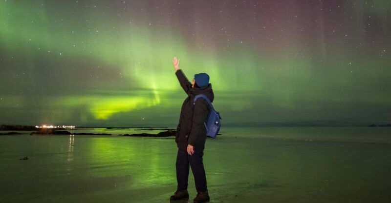 From Svolvaer: Private Northern Lights Search Trip - Key Points
