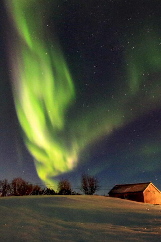 From Svolvaer: Private Northern Lights Search Trip - What to Expect on the Tour