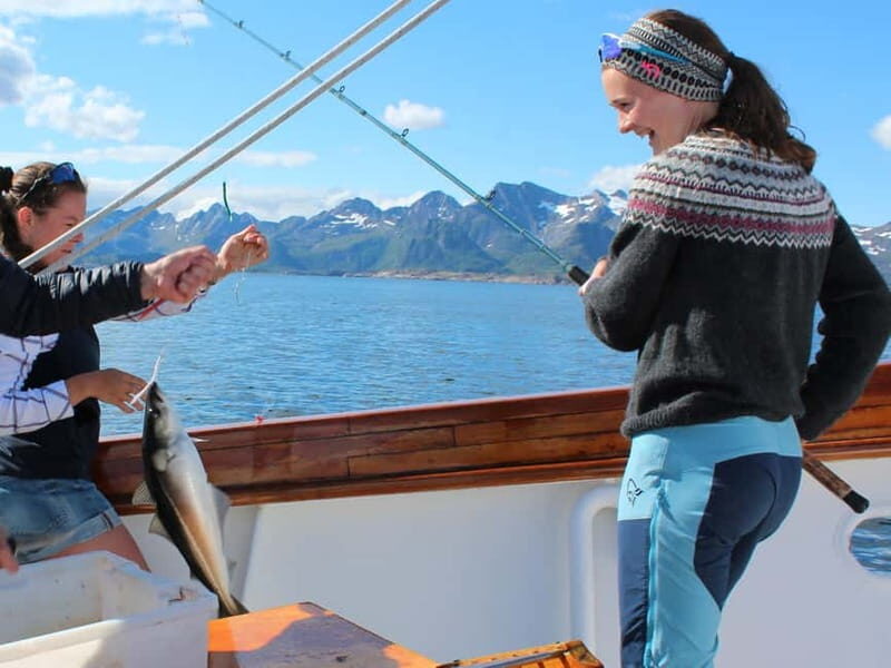 From Svolvær: Taste of Lofoten - Cultural Fishing Experience - Who Is This Tour Perfect For?