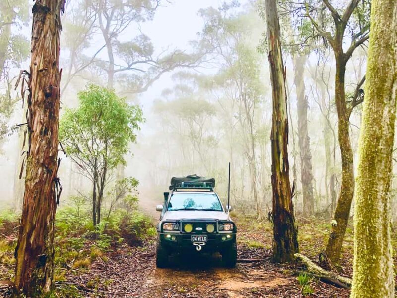 From Sydney: 2-Day Blue Mountains Camping 4WD & River Cruise - An Itinerary That Combines Adventure and Serenity