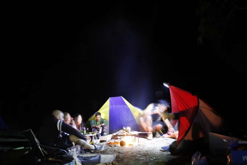 From Sydney: 2-Day Blue Mountains Camping 4WD & River Cruise - Who Will Love This Tour?