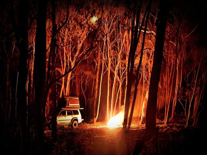 From Sydney: 2-Day Blue Mountains Camping 4WD & River Cruise - The Sum Up