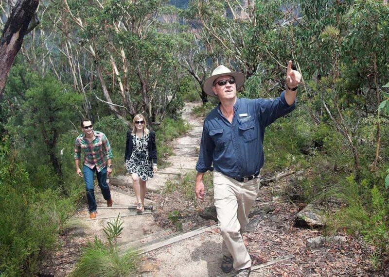 From Sydney: Blue Mountains Bushwalks & Featherdale Tour - Bushwalks and Waterfalls: The Heart of the Tour