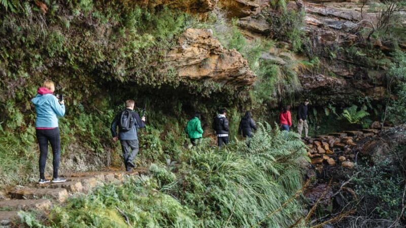 From Sydney: Blue Mountains Bushwalks & Featherdale Tour - Iconic Three Sisters: Photo Stop and Local Legend