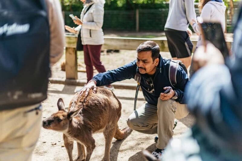 From Sydney: Blue Mountains Full-Day Trip - Who Will Love This Tour?