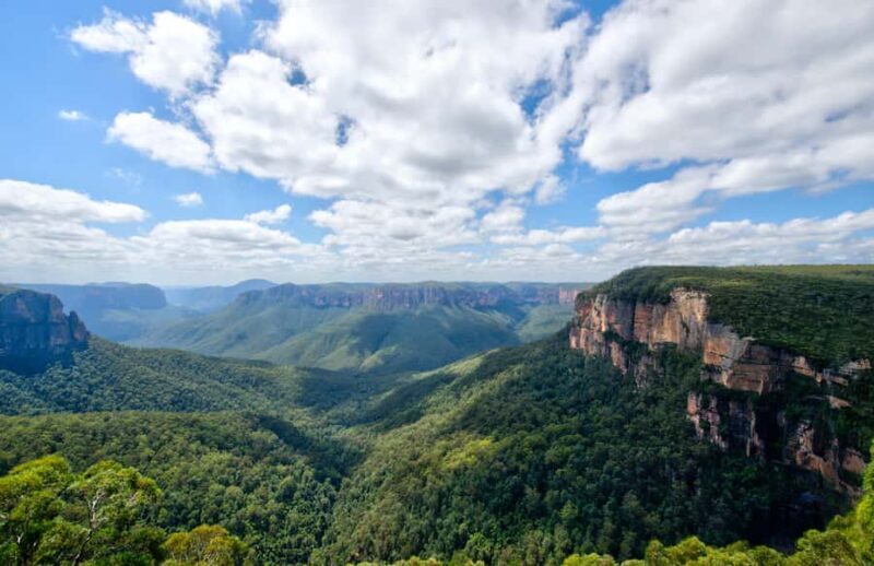 From Sydney: Blue Mountains, Sydney Zoo & Walking Tour - Who Would Love This Tour?