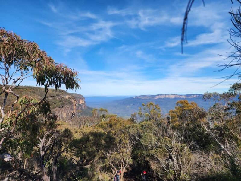 From Sydney: Blue Mountains Tour with Waterfall Walk & Lunch - Key Points