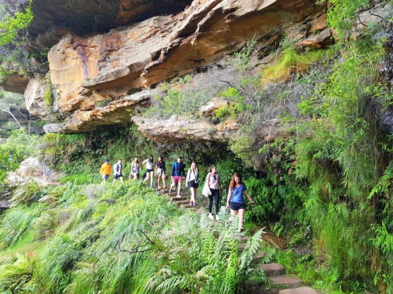 From Sydney: Blue Mountains Tour with Waterfall Walk & Lunch - Authentic Experiences and Authentic Guides