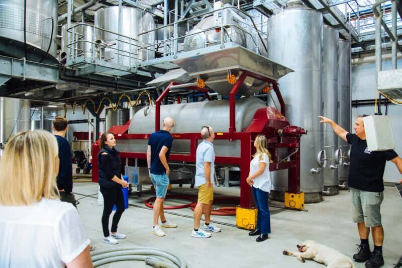 From Sydney: Full-Day Hunter Valley Tour w/ Tastings & Lunch - Final Thoughts