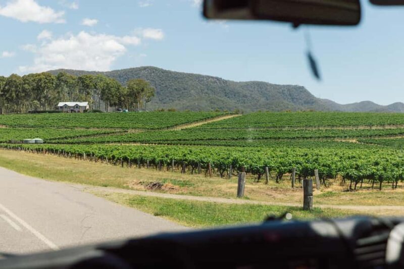 From Sydney: Full-Day Hunter Valley Wine Tour & Lunch - The Itinerary in Detail