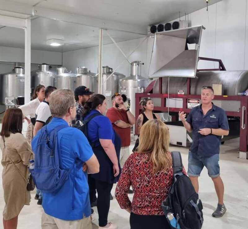 From Sydney: Hunter Valley Beer & Wine Group Tour - Key Points