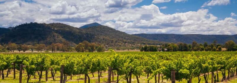 From Sydney: Luxury Hunter Valley Private Tour - FAQ