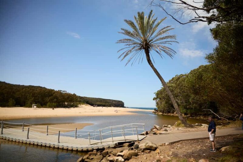 From Sydney: Royal National Park Private Tour - Who Should Consider This Tour?