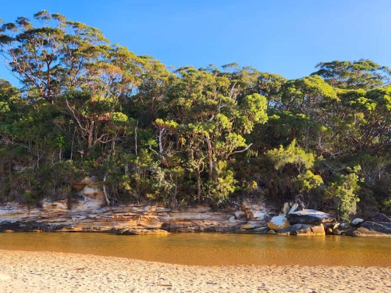 From Sydney: Royal National Park, Wollongong, and Kiama Tour - Kiama: The Iconic Blowhole