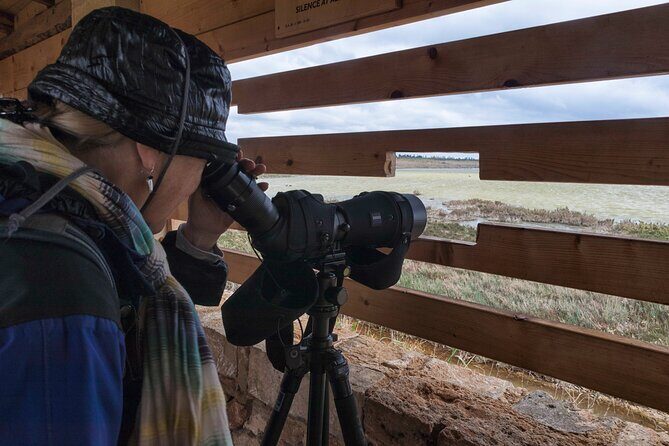 From Syracuse: Vendicari natural reserve - An In-depth Look at the Vendicari Natural Reserve Tour