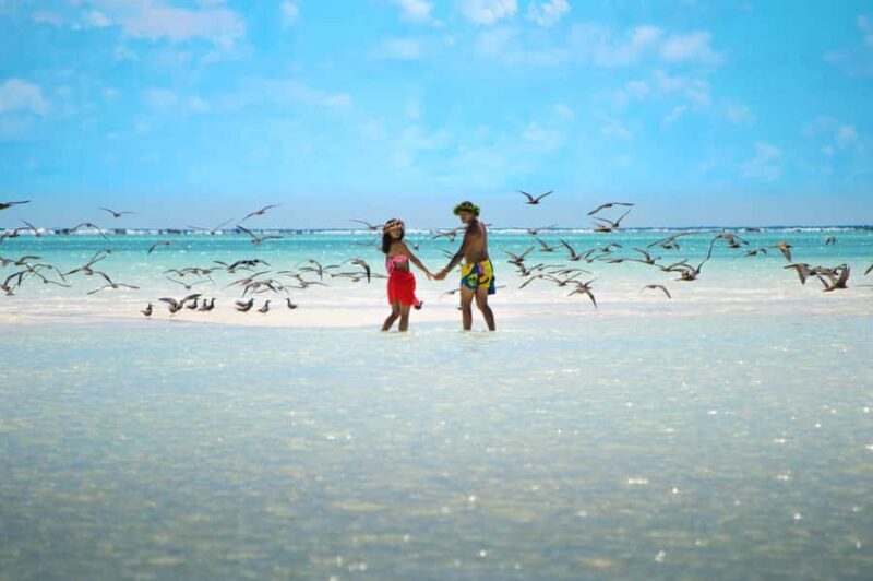 From Tahiti: Tetiaroa Island Tour by Sailing Catamaran - A Tasty Polynesian Lunch