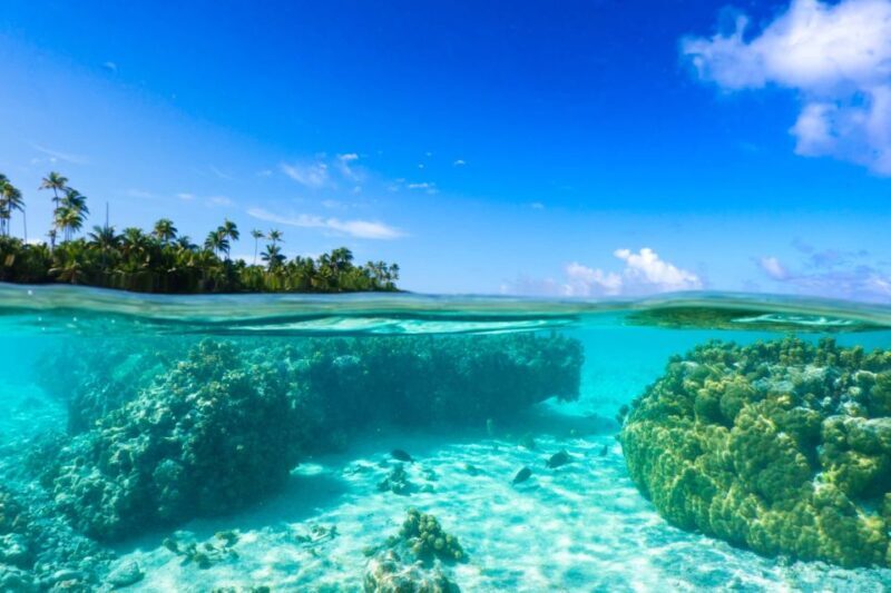 From Tahiti: Tetiaroa Island Tour by Sailing Catamaran - Authentic Insights from Past Travelers