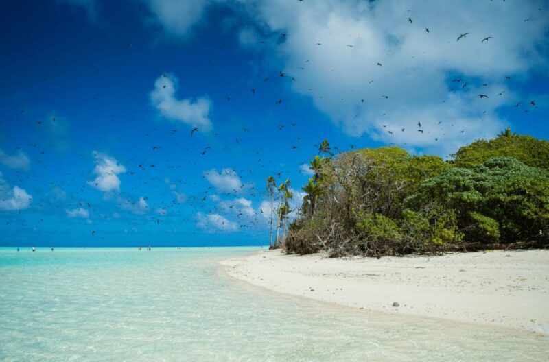 From Tahiti: Tetiaroa Island Tour by Sailing Catamaran - FAQ