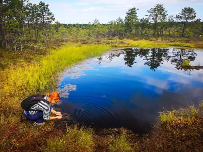 From Tallinn: Day Trip to Lahemaa National Park - Key Points