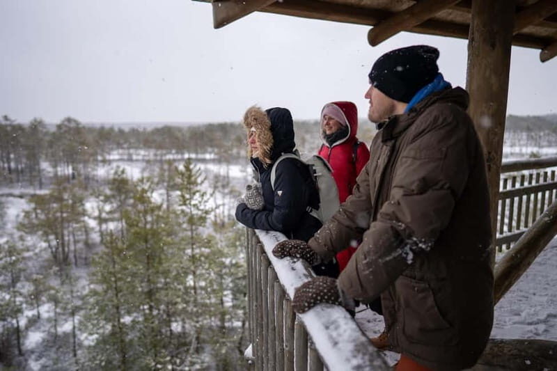 From Tallinn: Day Trip to Lahemaa National Park - Exploring Lahemaa: What to Expect