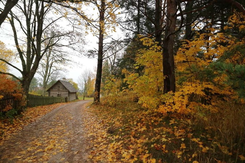 From Tallinn: Day Trip to Lahemaa National Park - The Sum Up