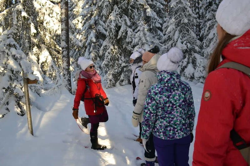 From Tallinn: Guided Bog-Shoe Hiking Tour - Exploring Estonia’s Wetlands: A Guided Bog-Shoe Hiking Tour from Tallinn