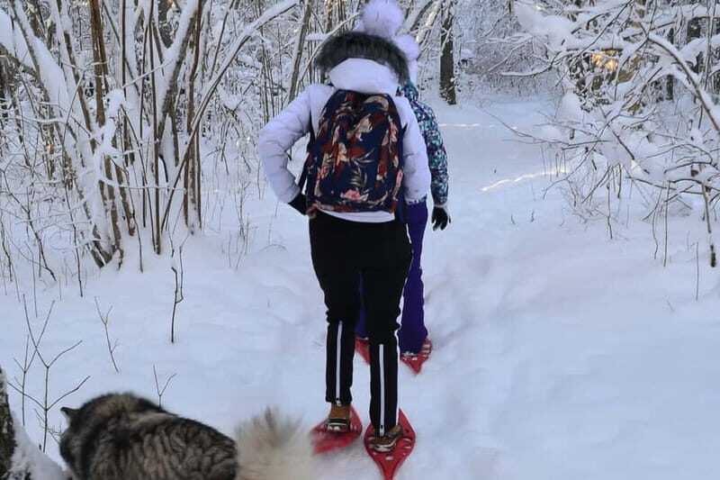 From Tallinn: Guided Bog-Shoe Hiking Tour - The Value and Practicalities