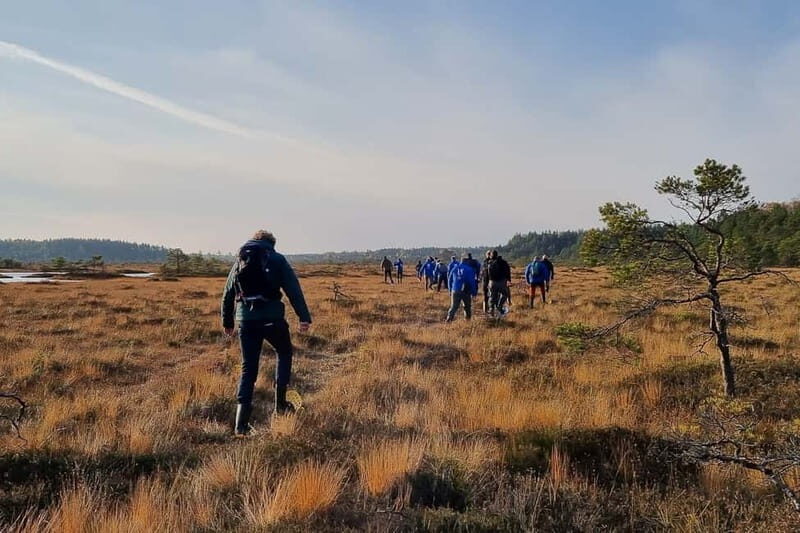 From Tallinn: Guided Bog-Shoe Hiking Tour - Final Thoughts: Is This Tour for You?