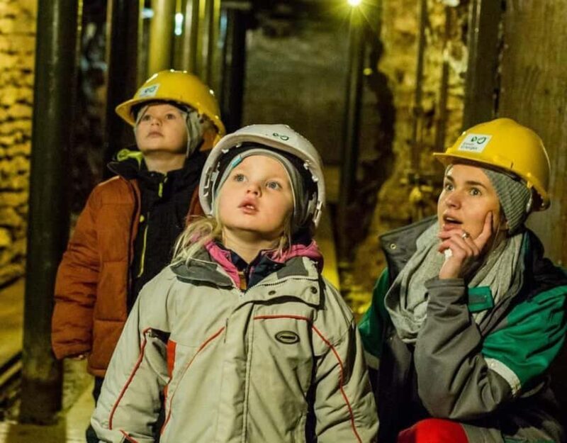 From Tallinn: Ida-Virumaa Mining Museum and Sillamäe Tour - An In-Depth Look at the Tour Experience
