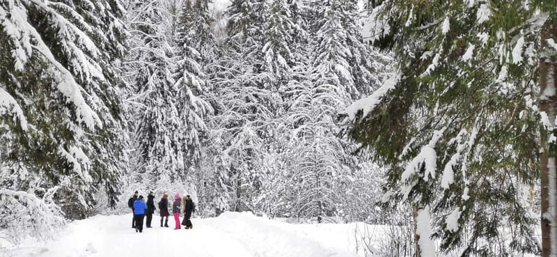 From Tallinn: Lahemaa National Park 3 Waterfall Hike - Key Points