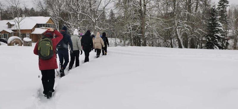From Tallinn: Lahemaa National Park 3 Waterfall Hike - A Deep Dive into the Lahemaa Waterfall Hike