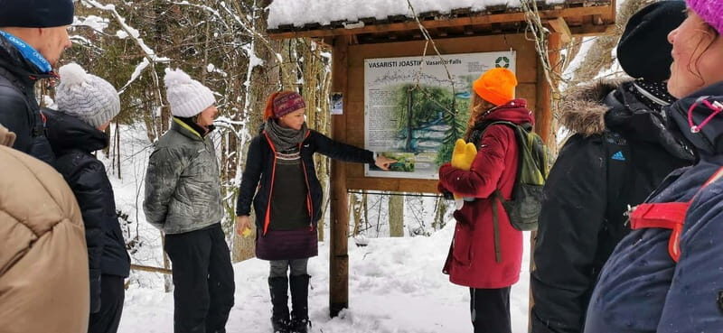 From Tallinn: Lahemaa National Park 3 Waterfall Hike - Who Should Consider This Experience?