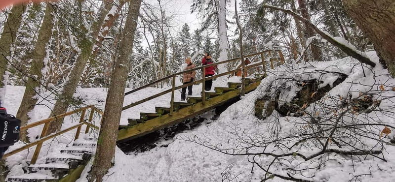 From Tallinn: Lahemaa National Park 3 Waterfall Hike - The Sum Up