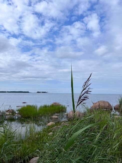 From Tallinn: Lahemaa National Park Day Trip - Exploring Lahemaa National Park from Tallinn: A Practical Review