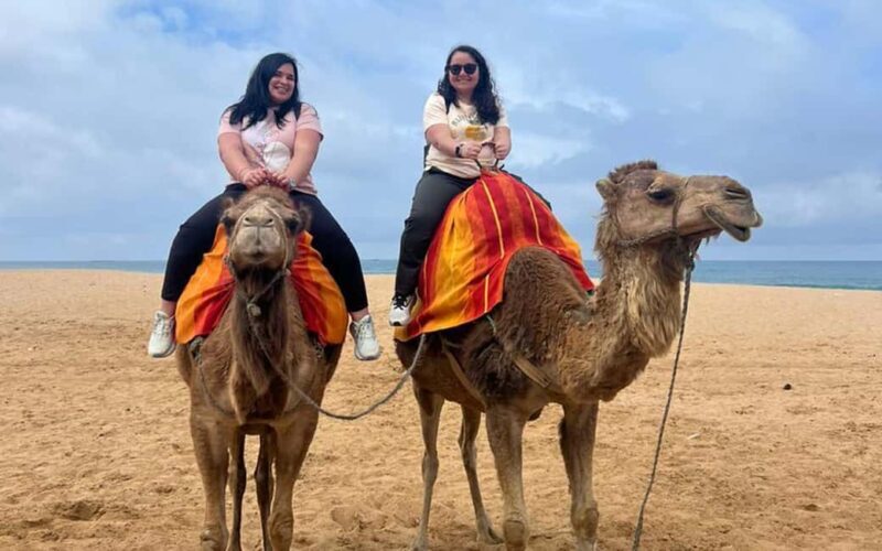 From Tarifa: 2 days 1 night To Chefchaouen all inclusive - What Makes This Tour Stand Out?