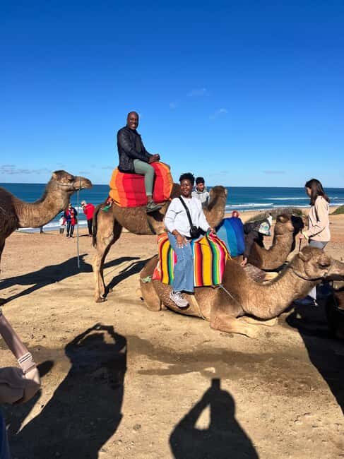 From Tarifa: Tangier Day Trip with Lunch and Ferry - Practical Tips for Your Trip