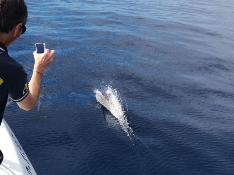 From Tazacorte: Discover the Northwest Coast by Speedy Yacht - The Experience: What to Expect on the Speedy Yacht Tour