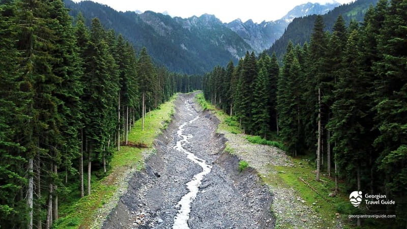 From Tbilisi: Ambrolauri Full-Day Guided Tour with Lunch - Authentic and Value-Focused Experience