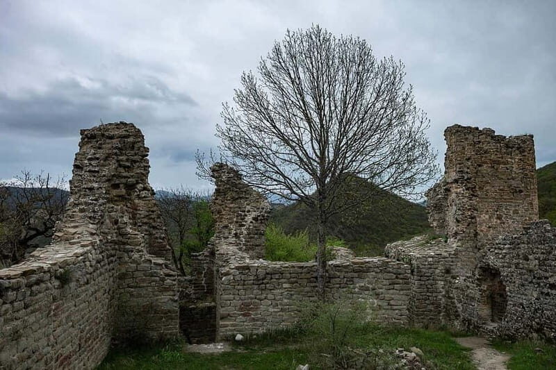 From Tbilisi: Bodbe, Sighnaghi and Telavi Day Trip - Who Is This Tour Best For?