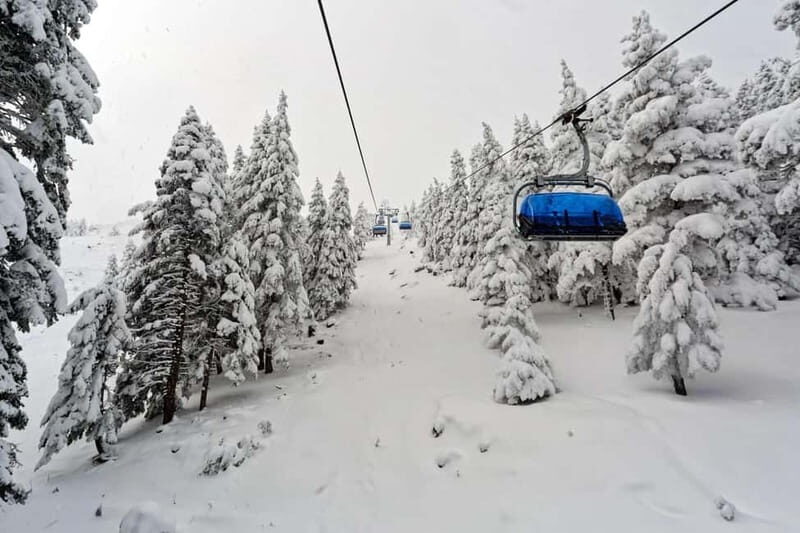 From Tbilisi: Borjomi and Bakuriani Ski Resort Private Tour - Key Points