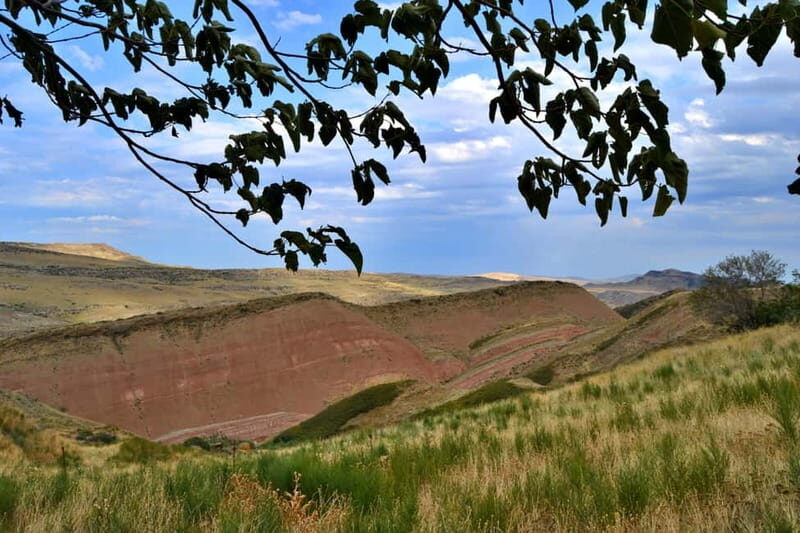 From Tbilisi: David Gareji Monastery and Wine Tasting Tour - Final Thoughts