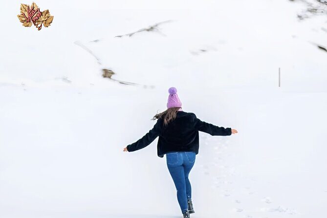 From Tbilisi Daytrip Kazbegi Gudauri & Zhinvali Guided Group Tour - The Sum Up