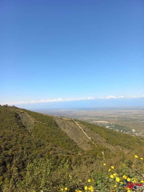 From Tbilisi: Kakheti Day Trip with Wine Tasting - From Tbilisi: Kakheti Day Trip with Wine Tasting — An In-Depth Review