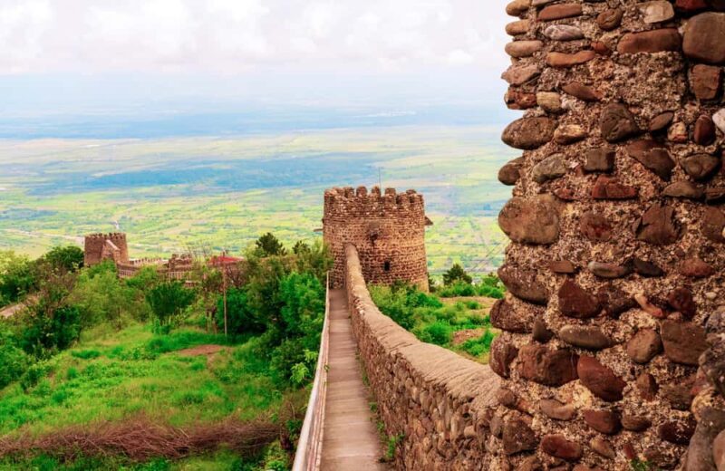 From Tbilisi: Kakheti Wine Region Tour with 9 Wine Tastings - Deep Dive into the Highlights