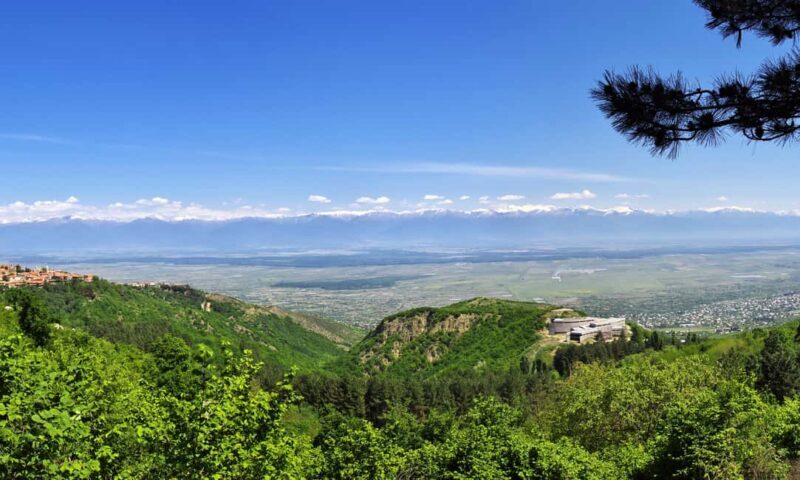 From Tbilisi: Kakheti Wine Region Tour with 9 Wine Tastings - Who Is This Tour Best For?