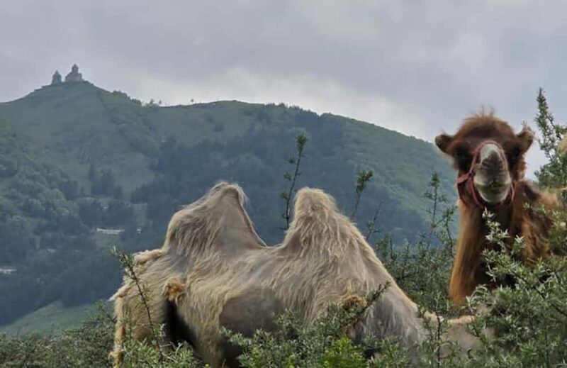 From Tbilisi: Kazbegi Private Tour with 4x4 and Waterfalls - Key Points