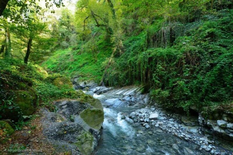 From Tbilisi: Private Ninoskhevi Waterfall Hike in Lagodekhi - Exploring the Full Experience