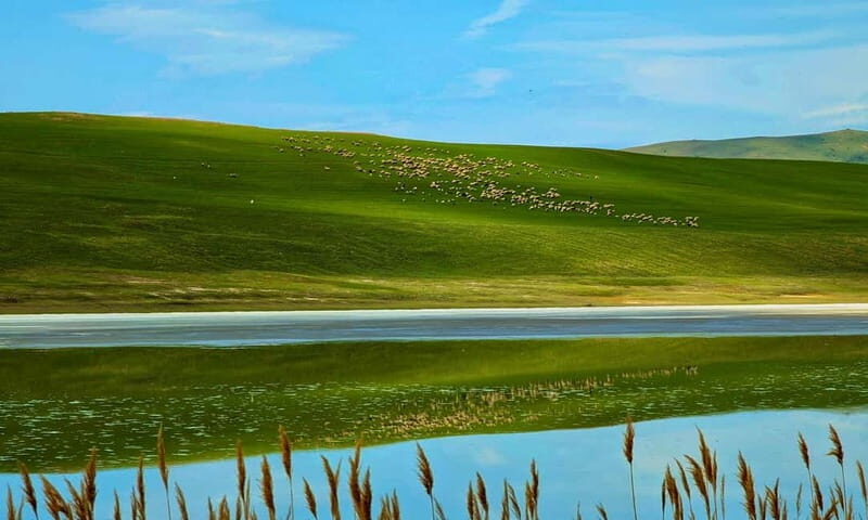 From Tbilisi: Rainbow Mountain & David Gareja Monastery Trip - Key Points