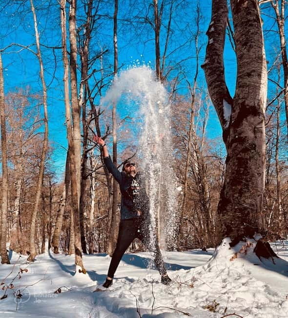 From Tbilisi: Sabaduri, Bears, Jvari & Chronicle of Georgia - FAQs